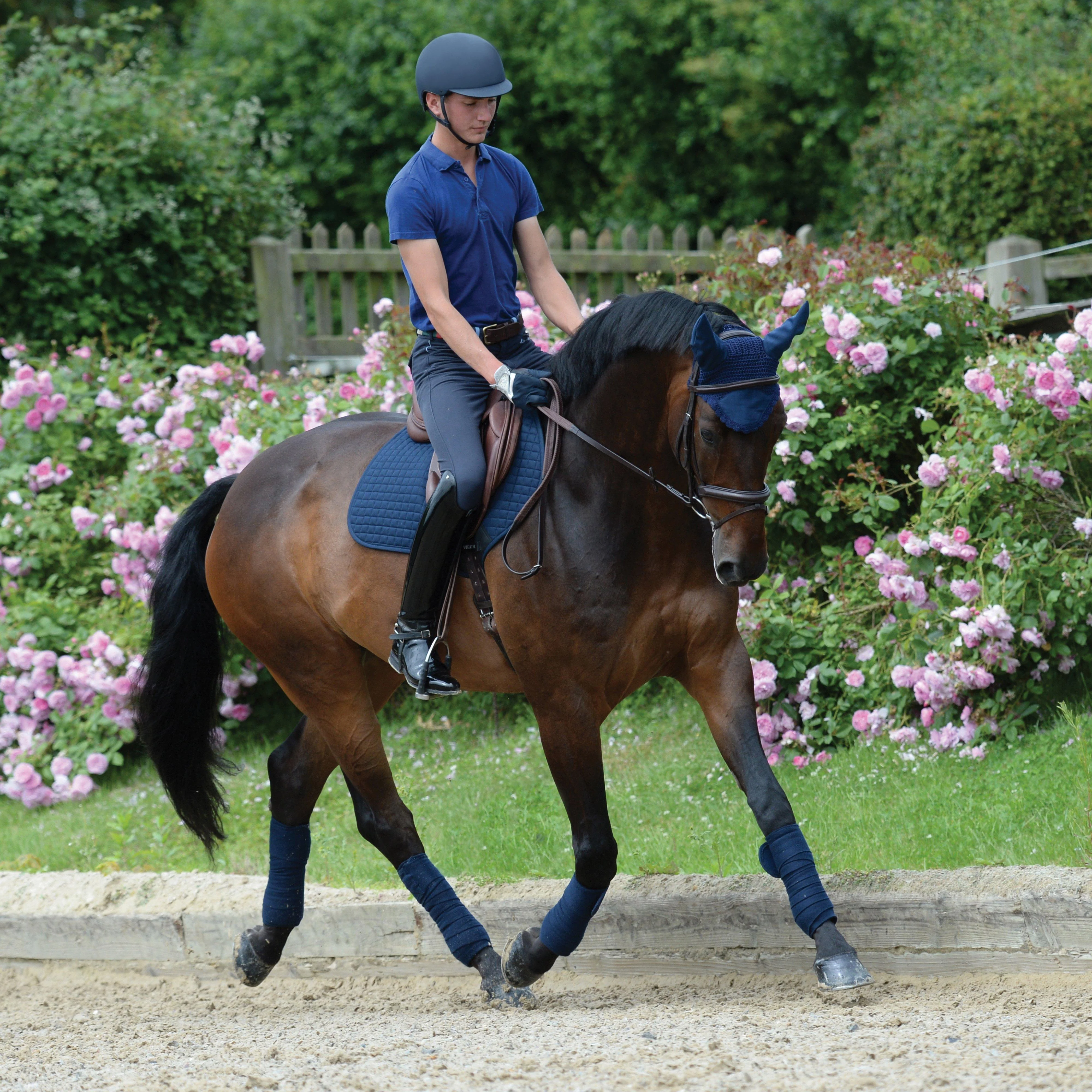 Prime Jump Saddle Pad Navy - Image 2