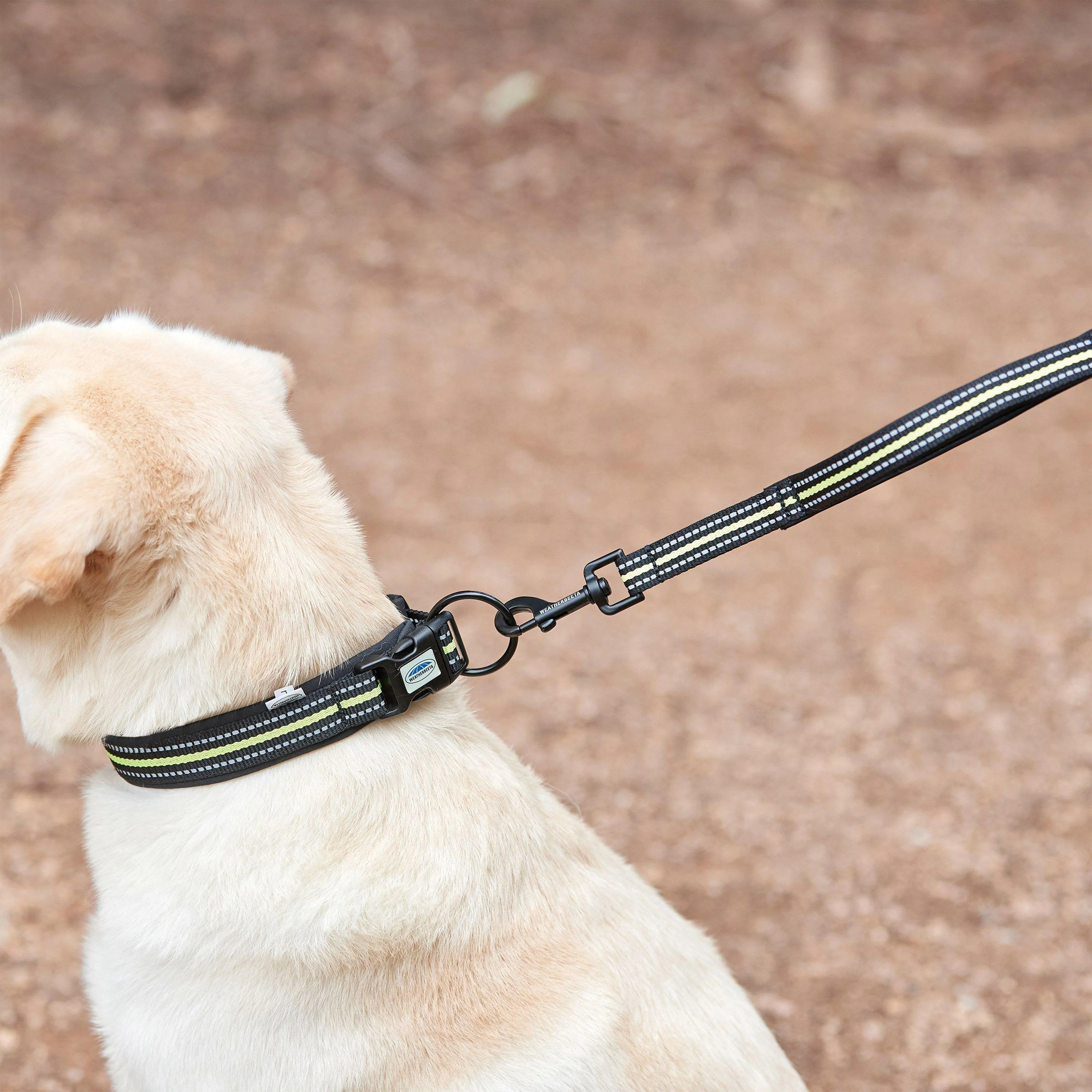 Reflective Dog Collar Black/Yellow - Image 2