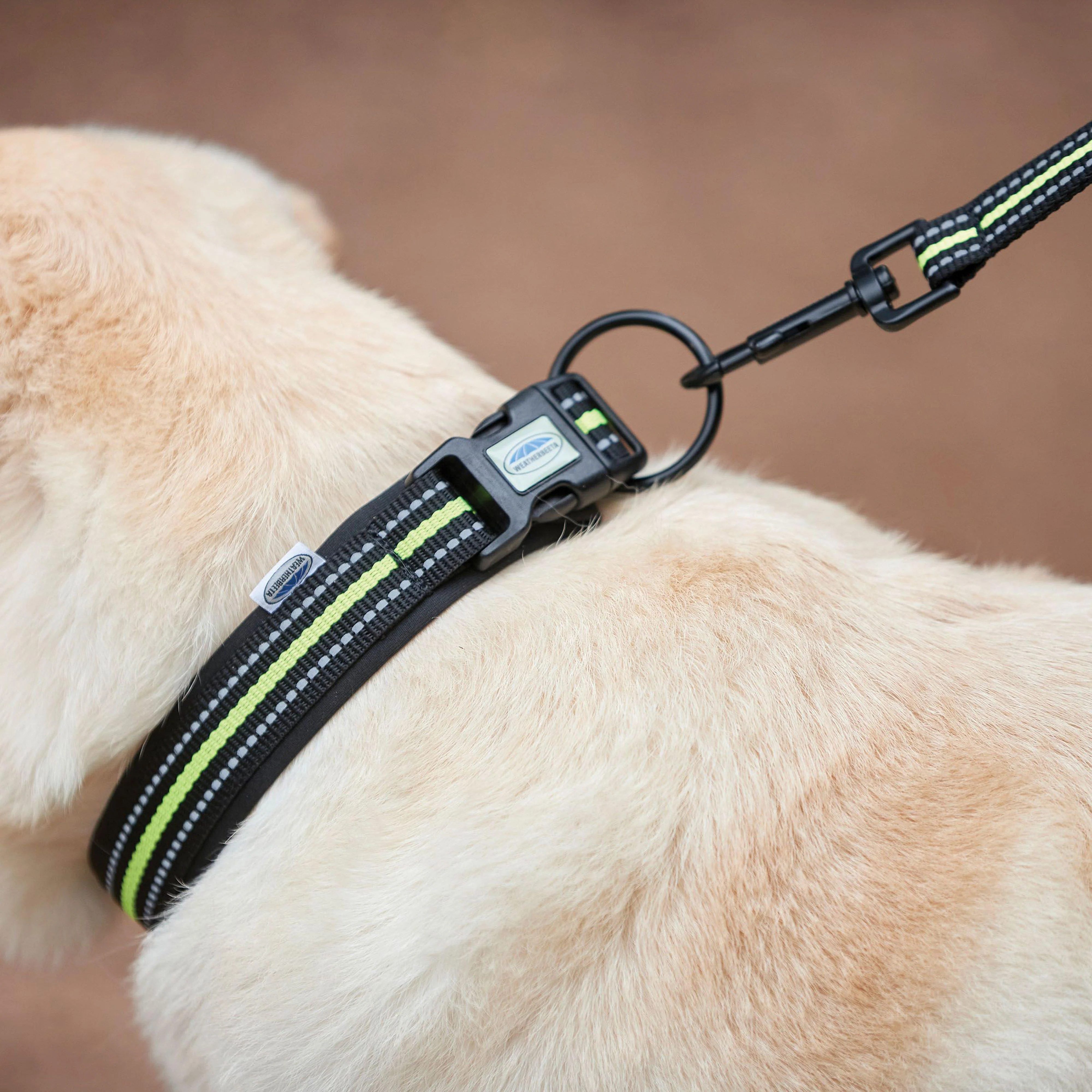 Reflective Dog Collar Black/Yellow - Image 3