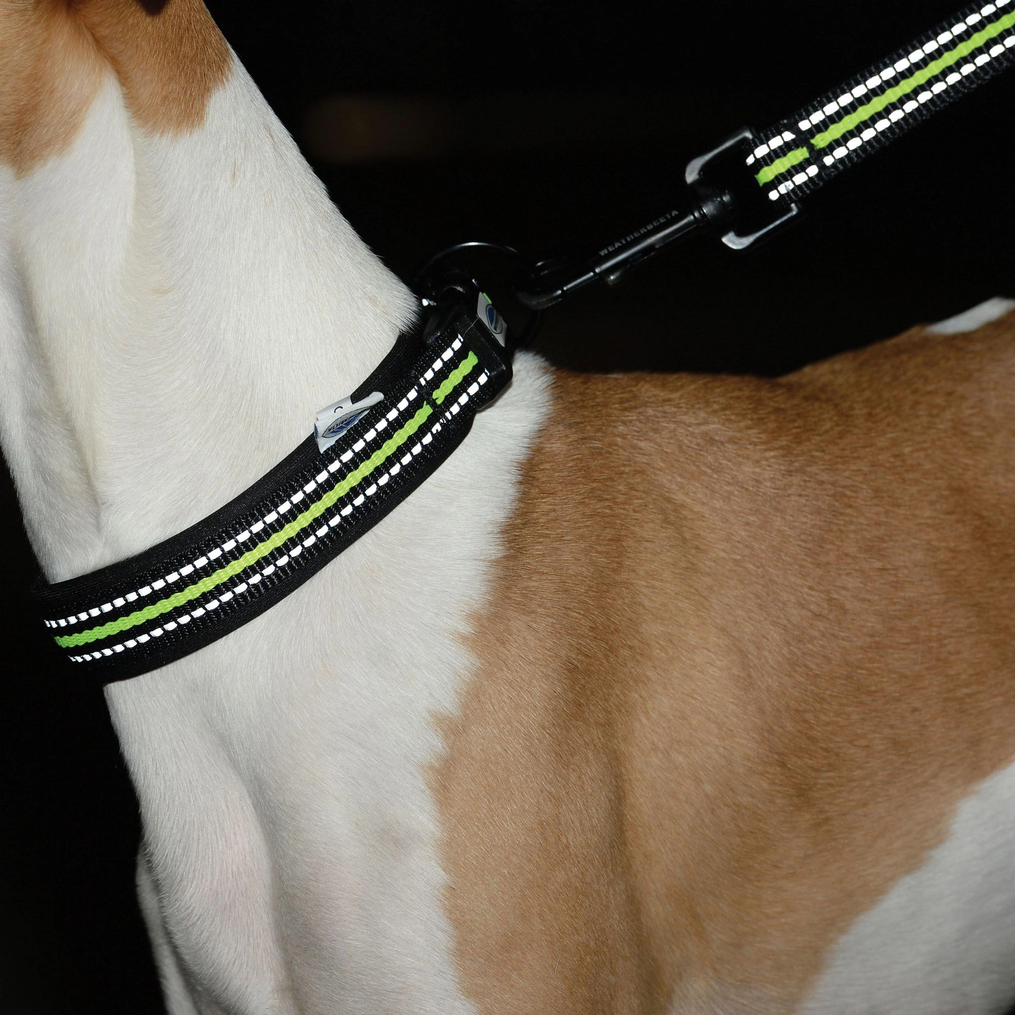 Reflective Dog Collar Black/Yellow - Image 4