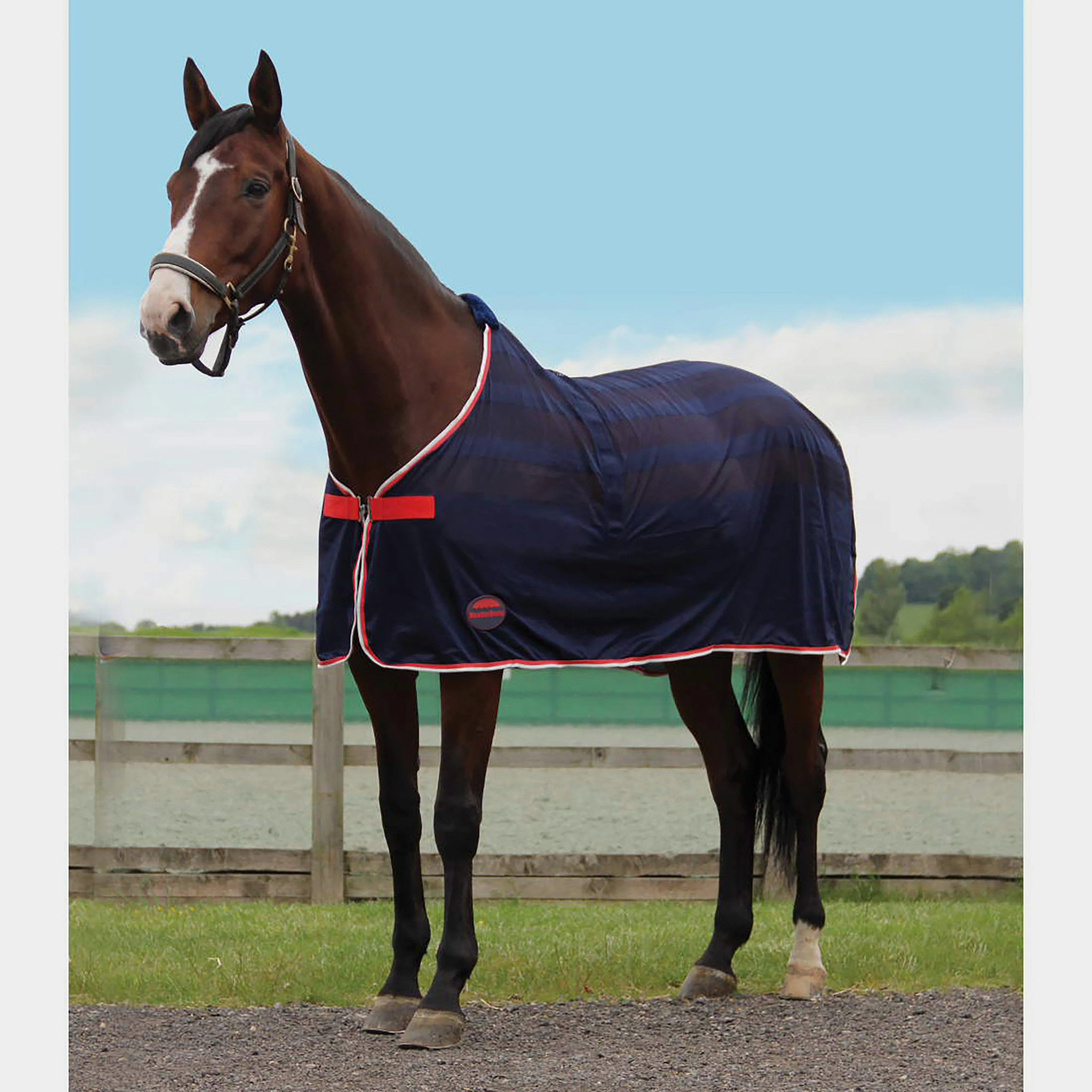 Scrim Cooler Navy/Red/White - Image 2