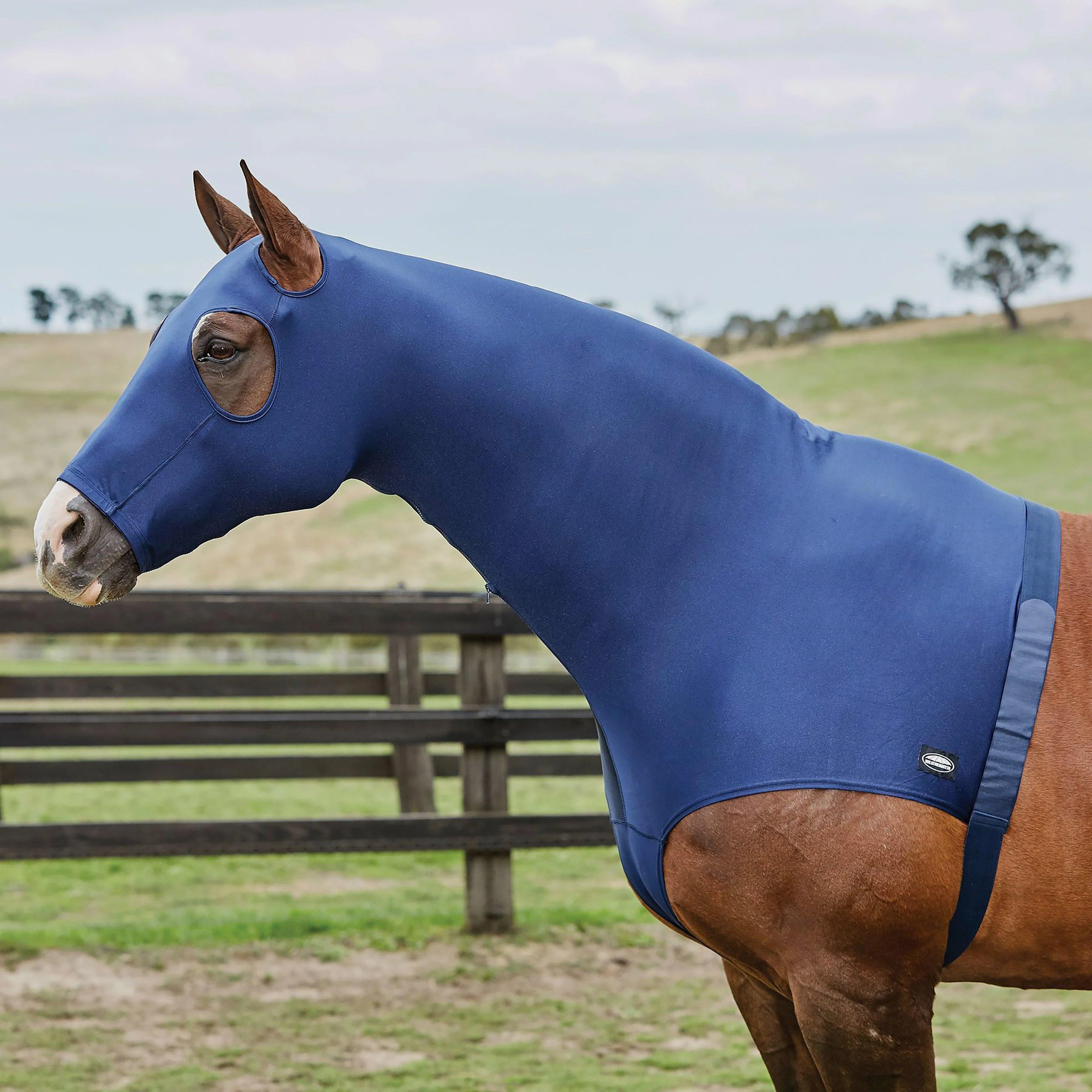 Stretch Hood With Zip Navy