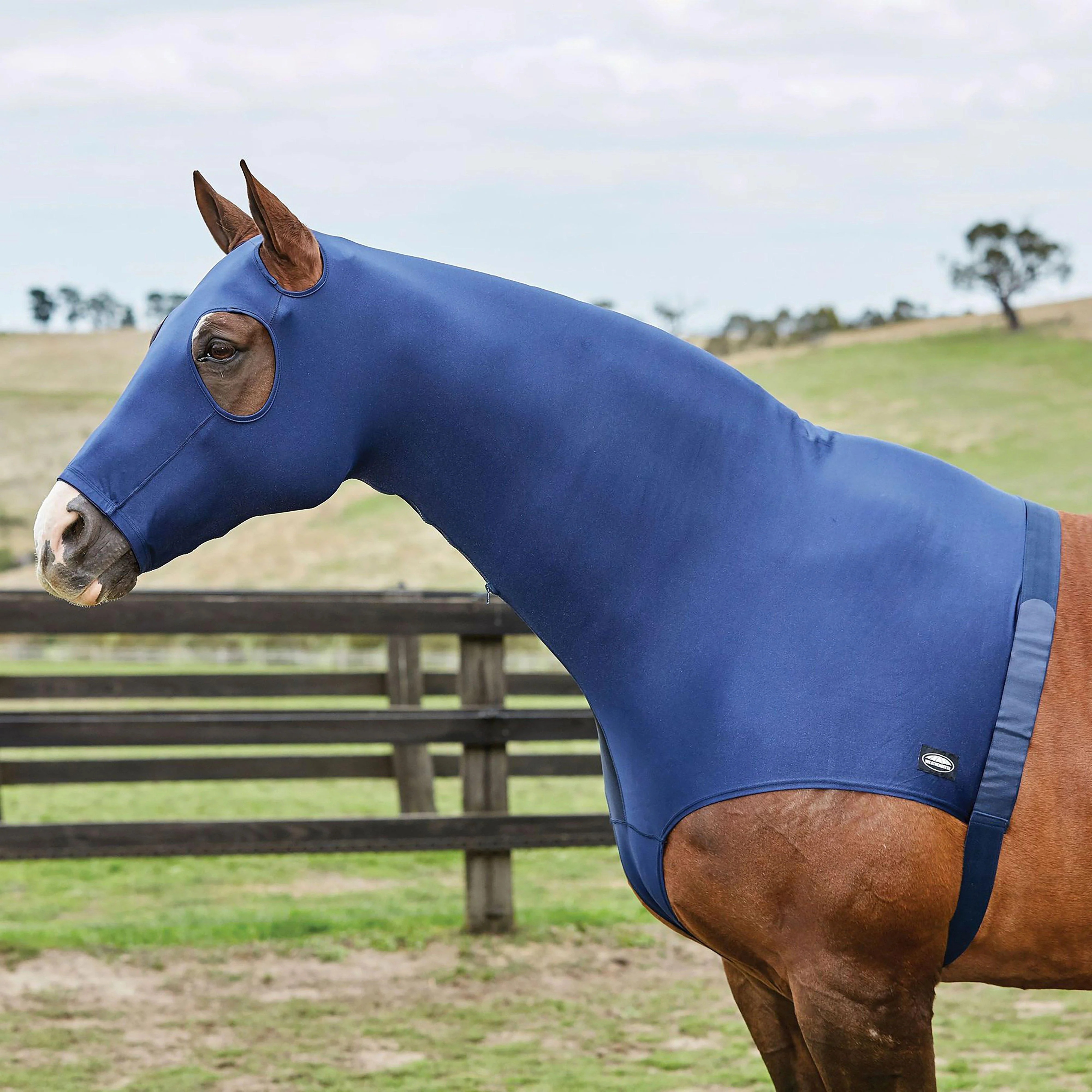 Stretch Hood With Zip Navy - Image 2