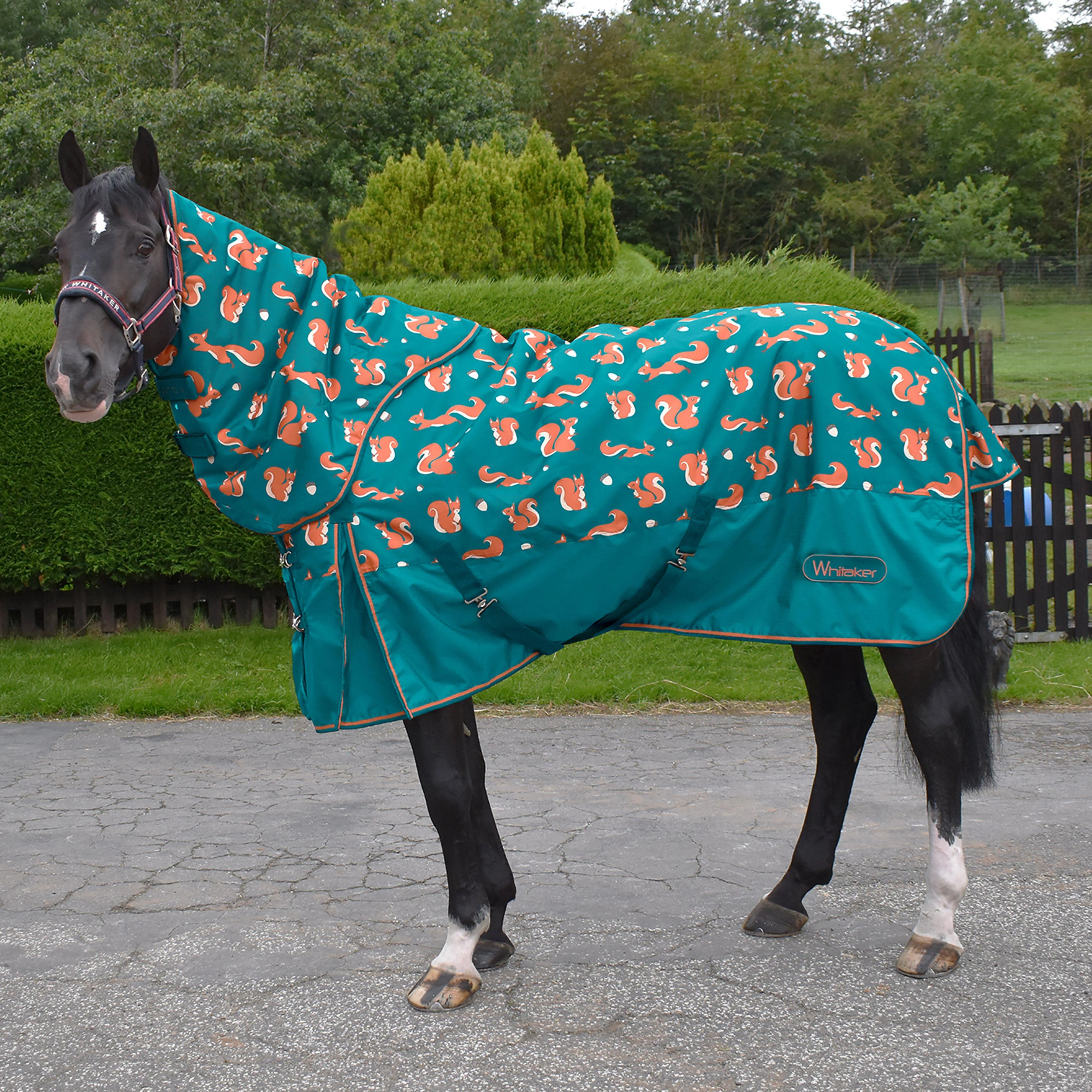 Knutsford Squirrel Combo 150g Turnout Rug Teal - Image 2