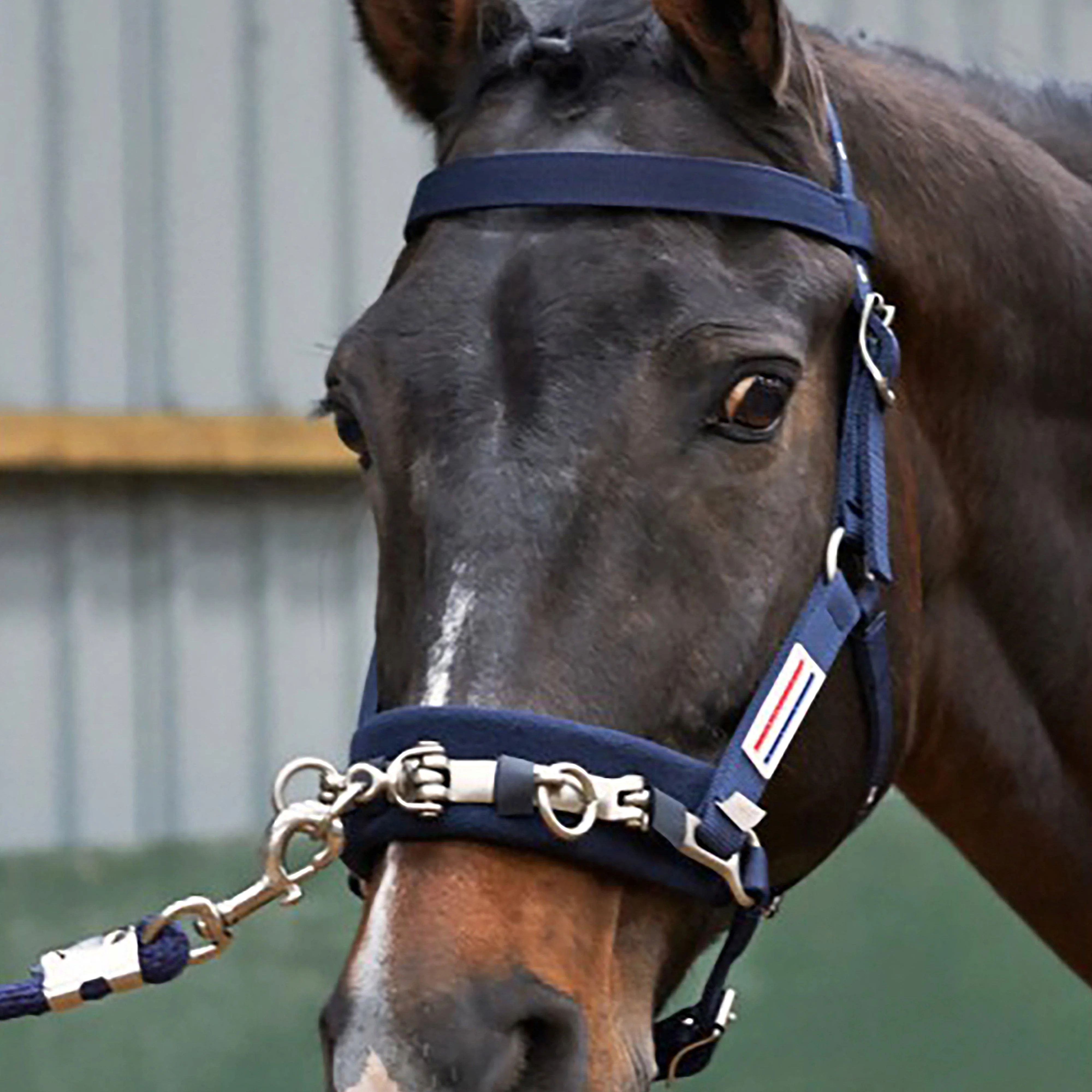 Lunge Cavesson Navy - Image 3