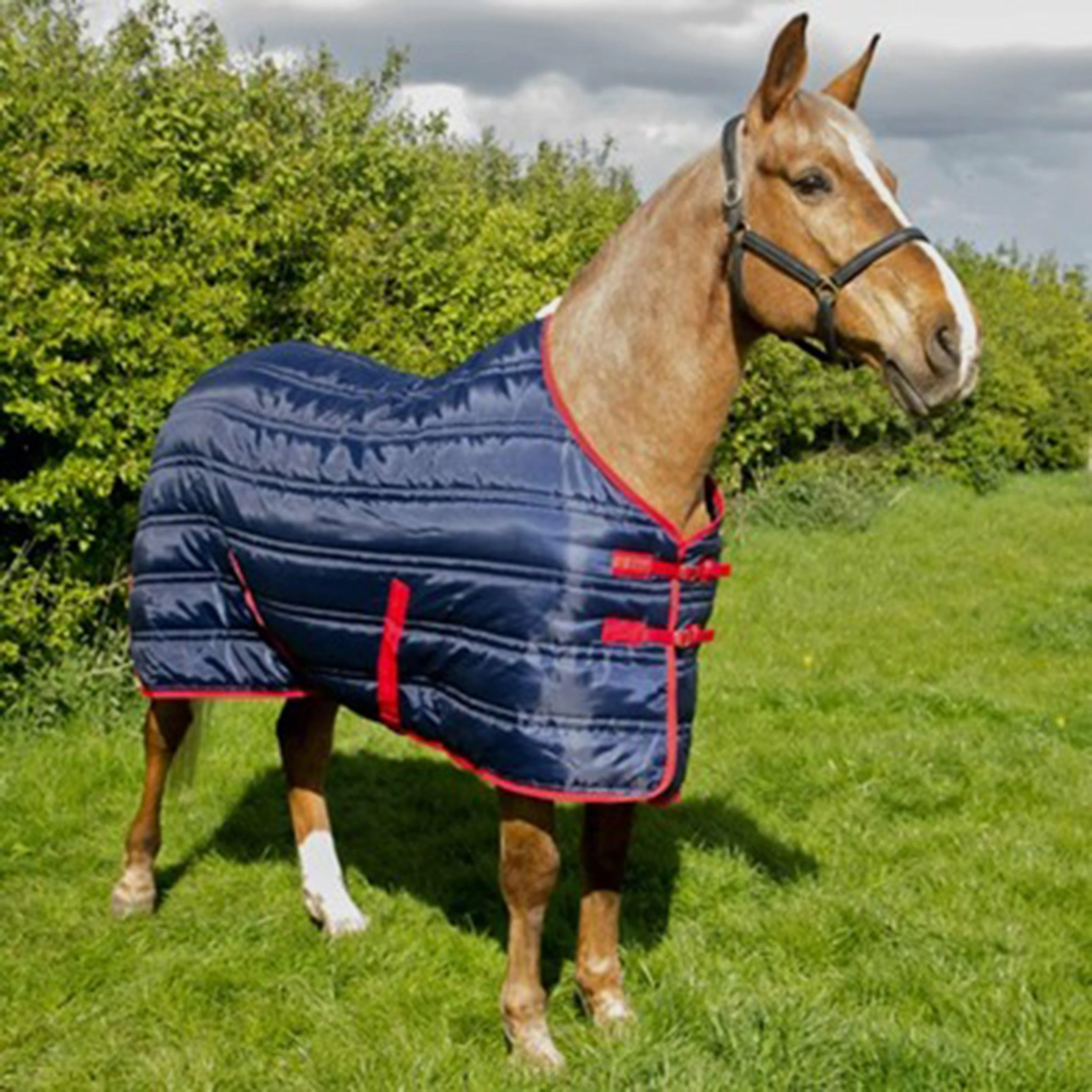 Thomas 250G Standard Neck Stable Rug Navy - Image 2
