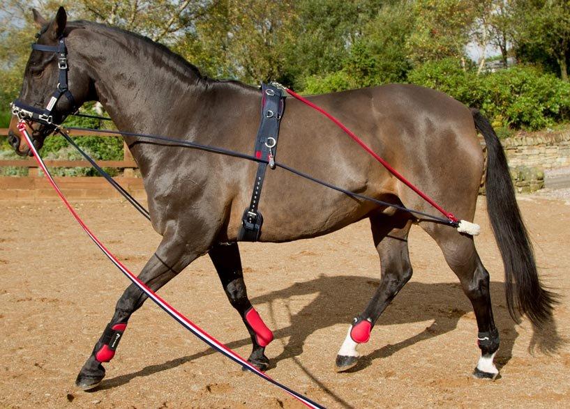 Training System - Image 3