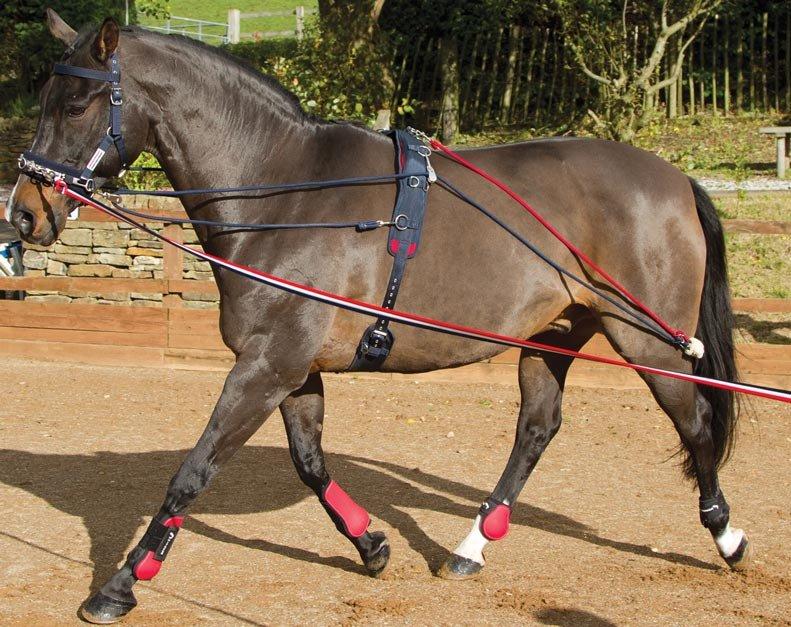 Training System - Image 4