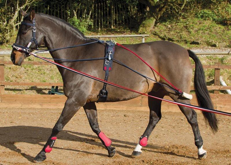Training System - Image 5