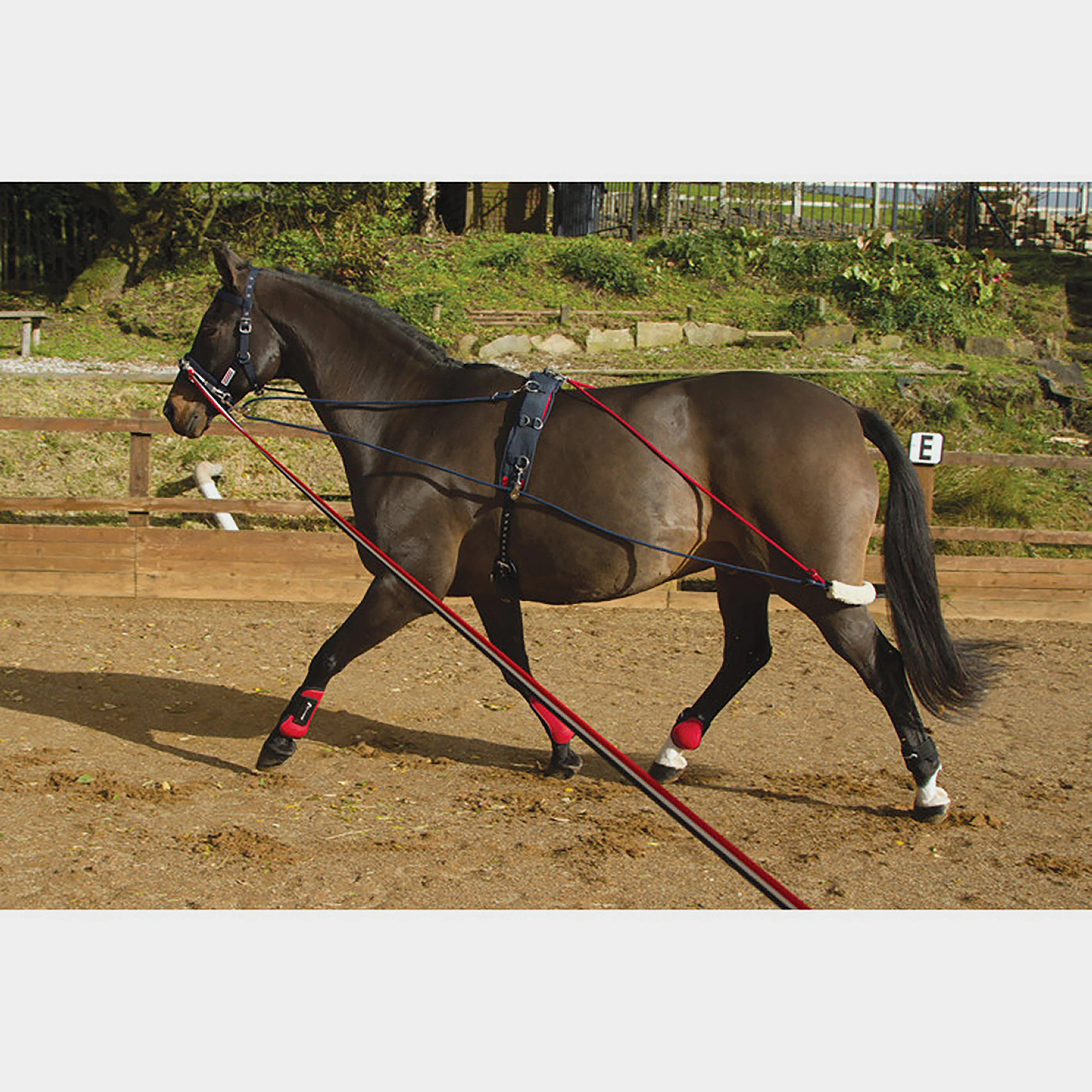 Training System - Image 7