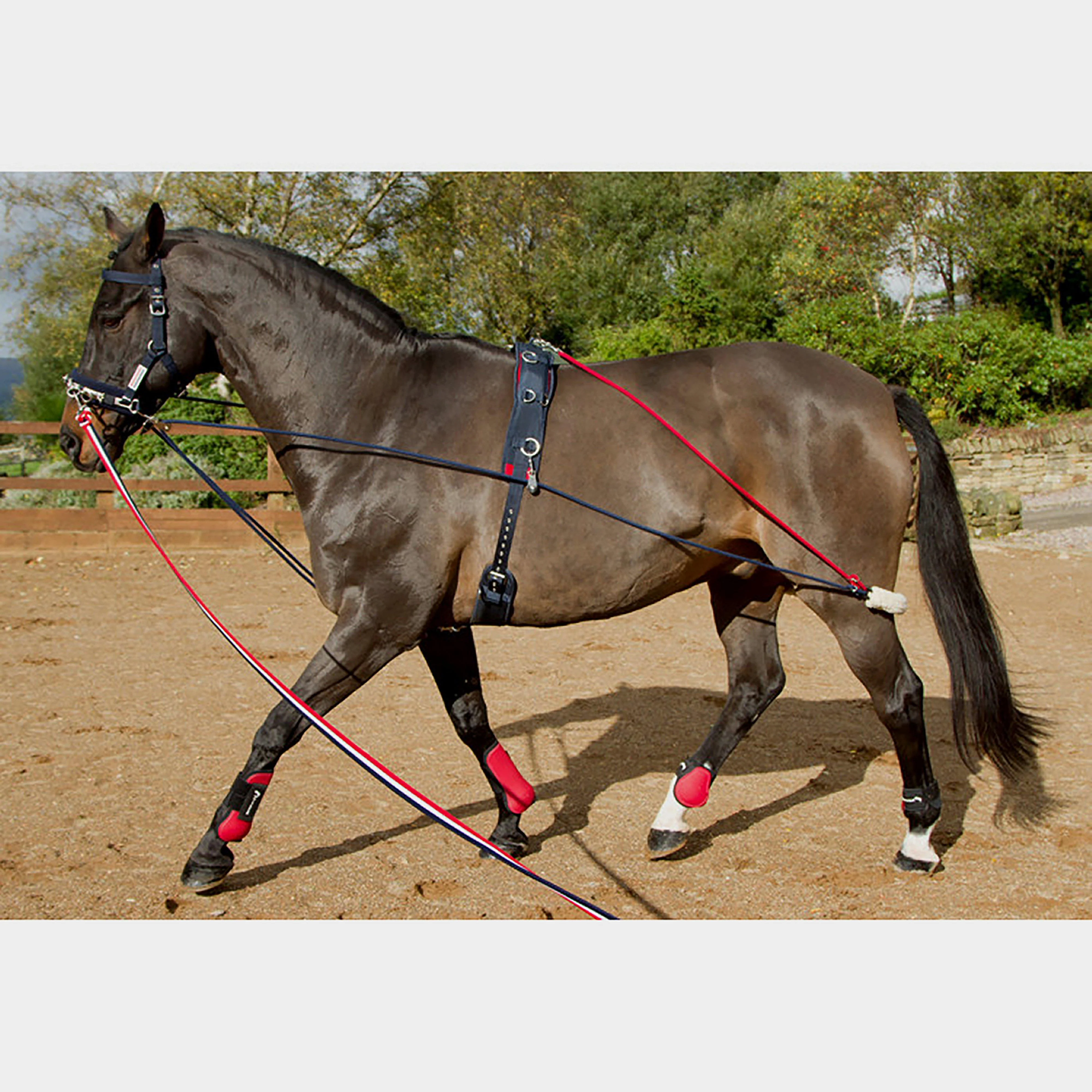 Training System - Image 8