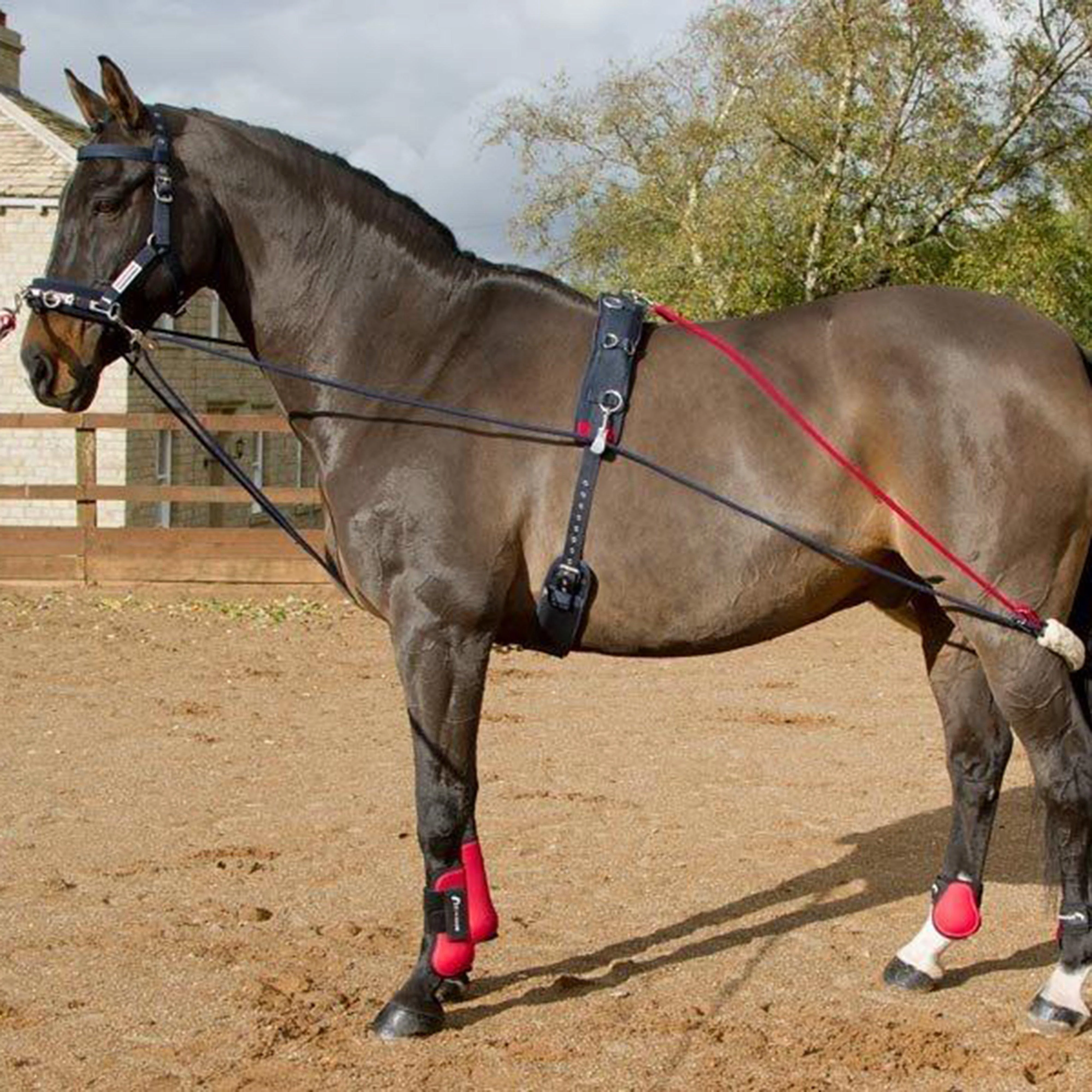 Training System - Image 9
